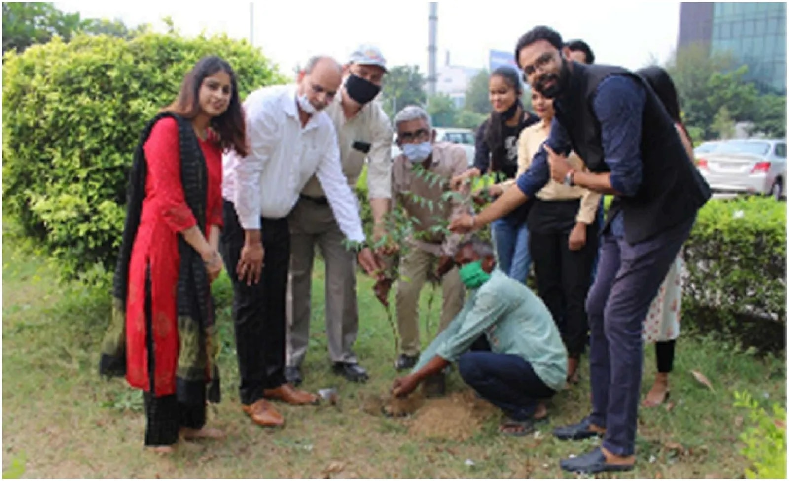 Group planting a sapling together